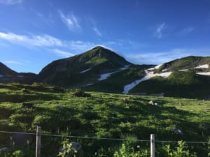 朝の雄山山頂