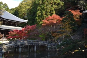 京都の紅葉